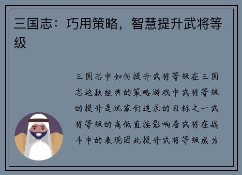 三国志：巧用策略，智慧提升武将等级